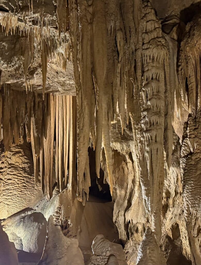 Tarifs et horaires Grottes de Médous