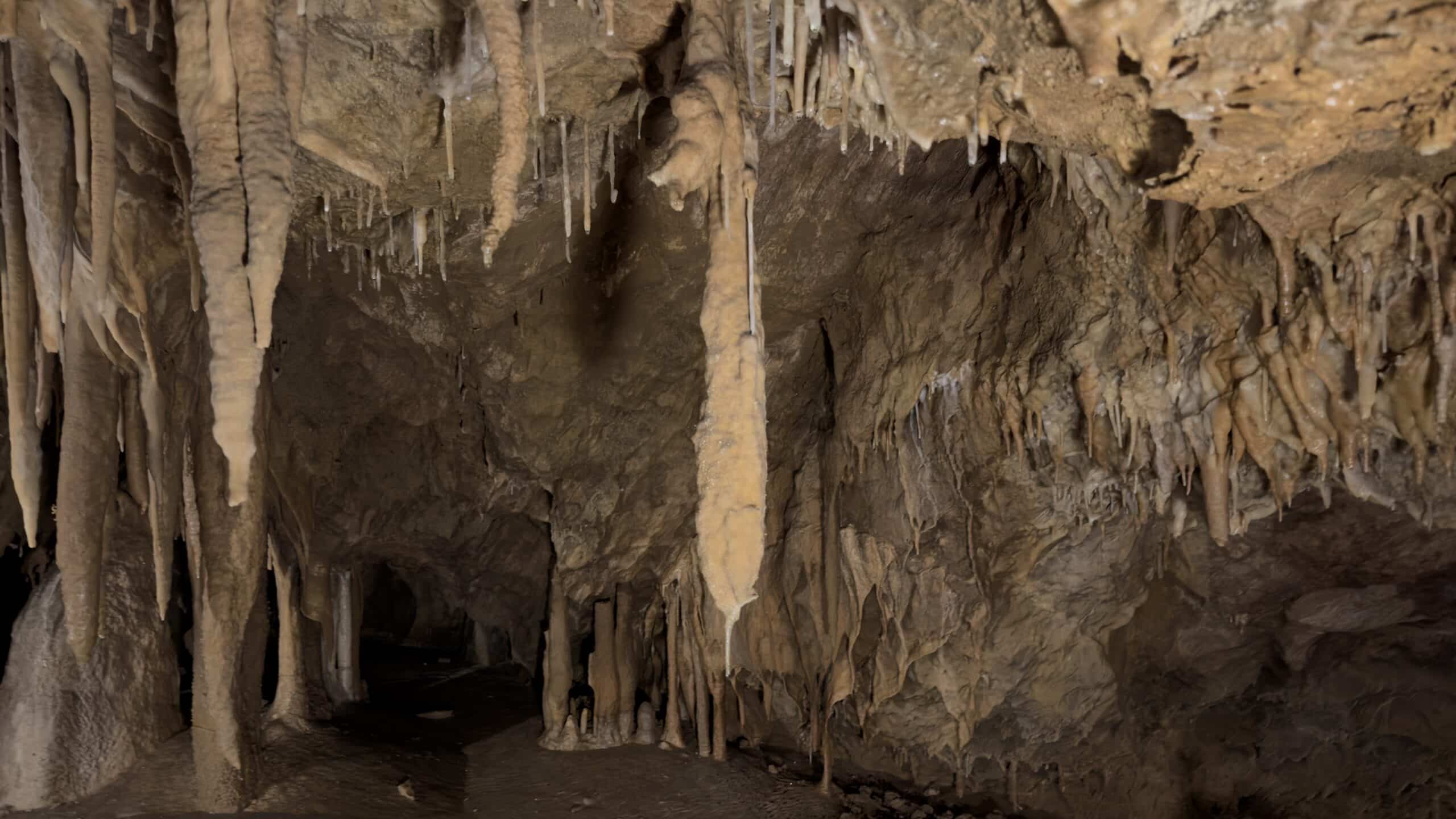 Histoires des Grottes de Médous 65