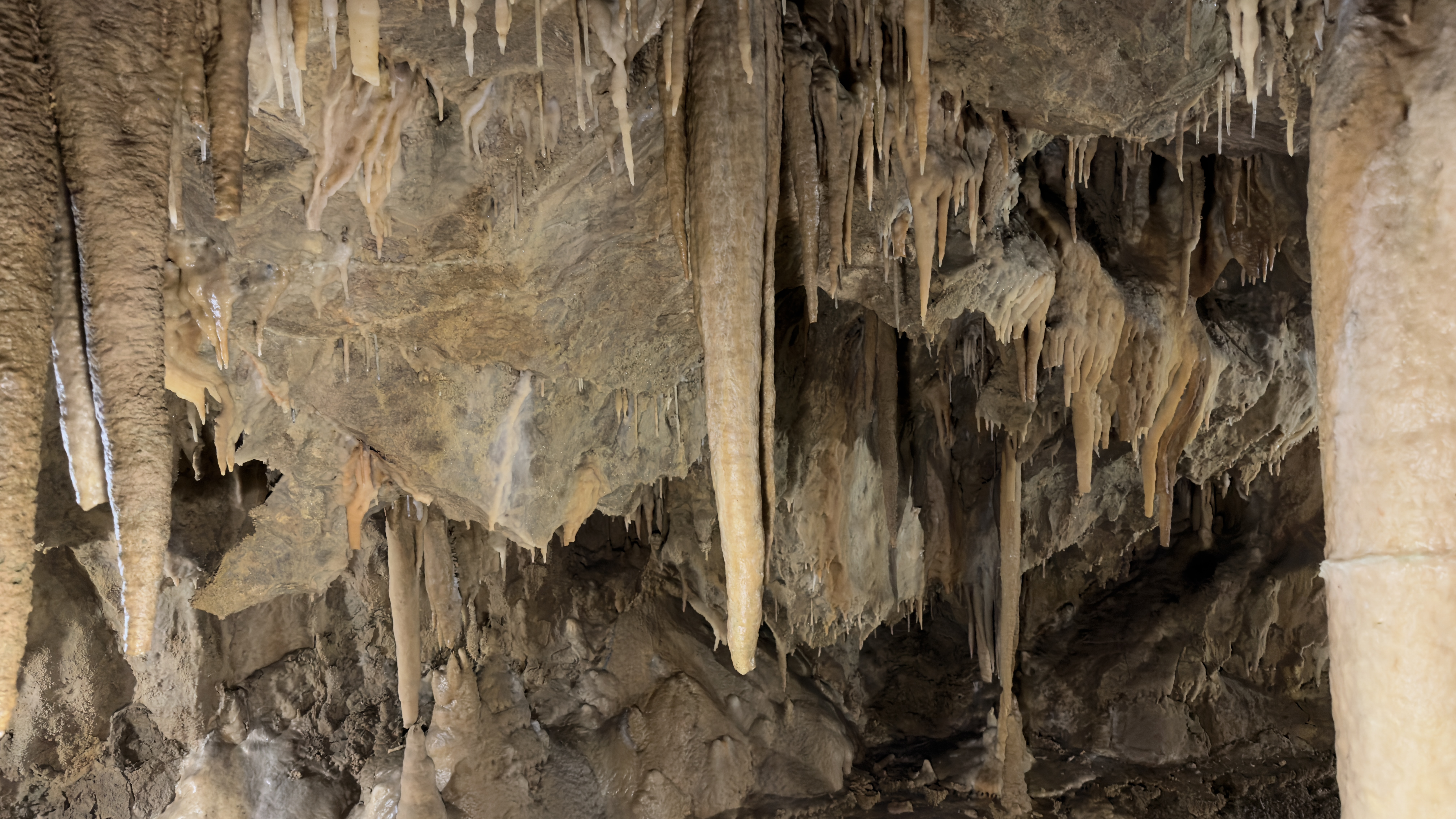 Stalactite