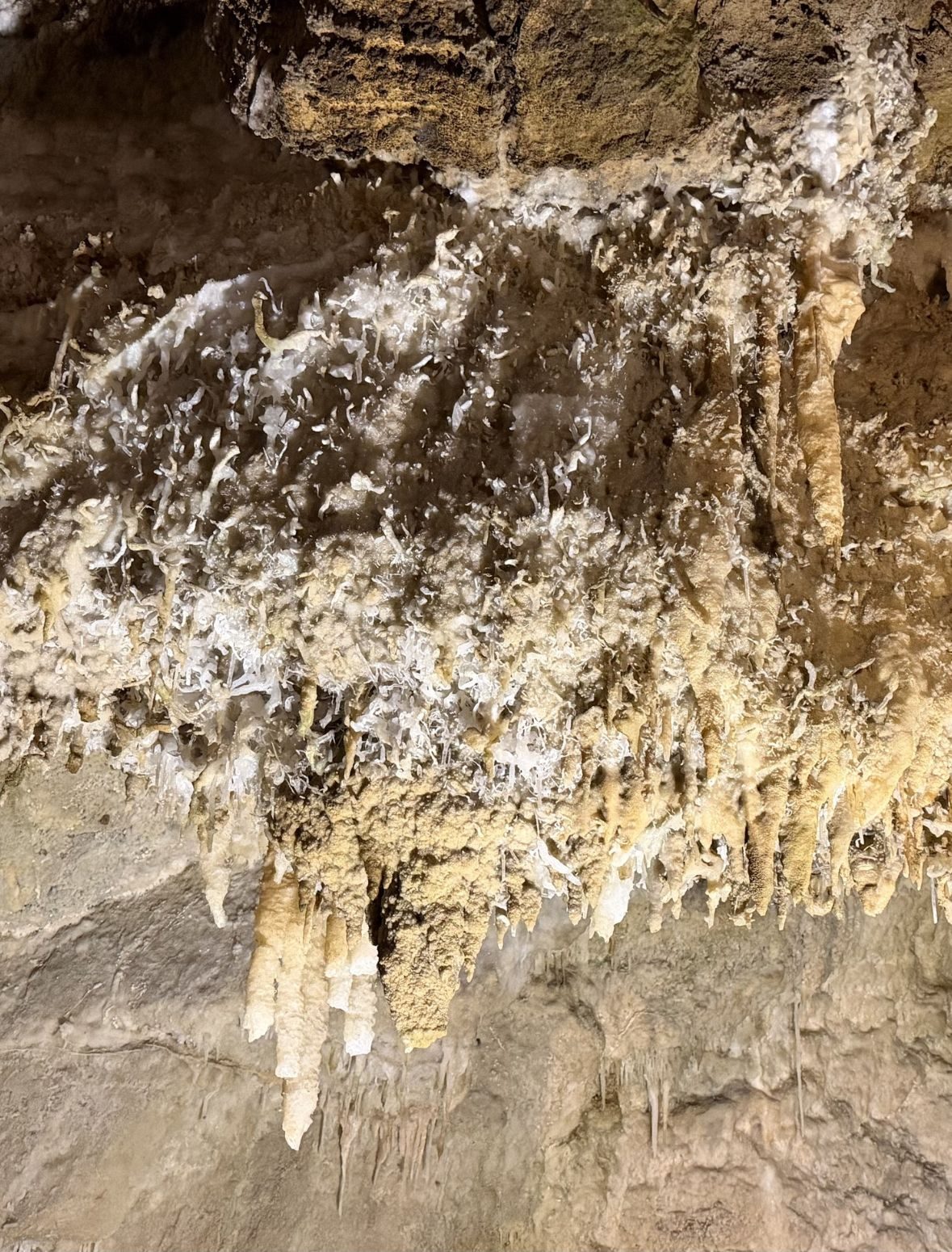 Histoires des Grottes de Médous 65