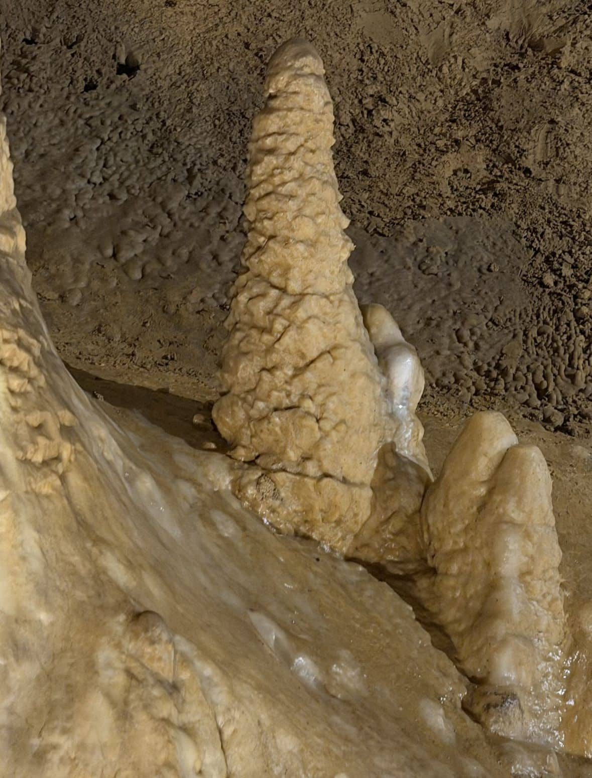 Histoires des Grottes de Médous 65