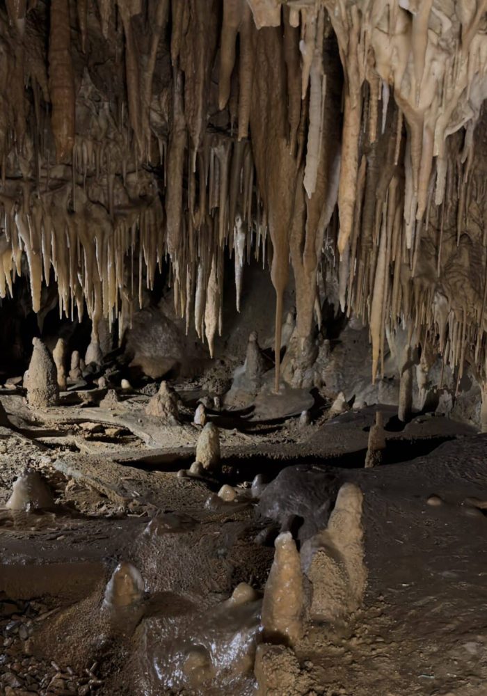 Visite des Grottes de Médous