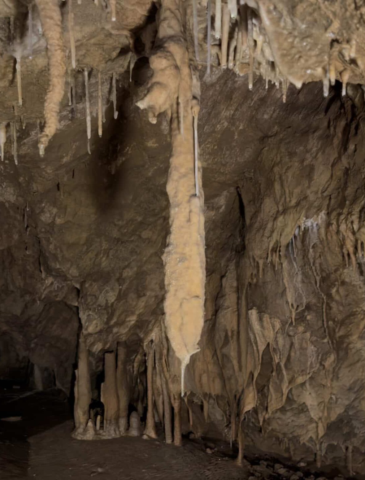 Histoires des Grottes de Médous 65